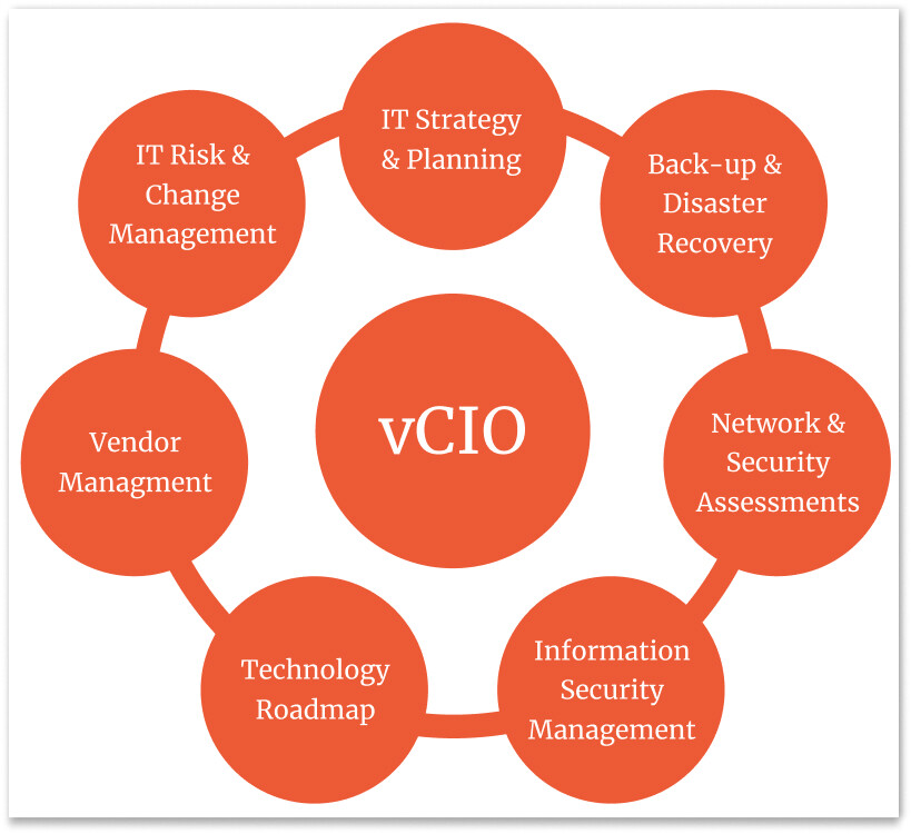vcio-responsibilities