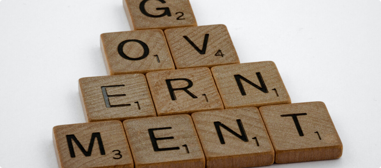 local government it