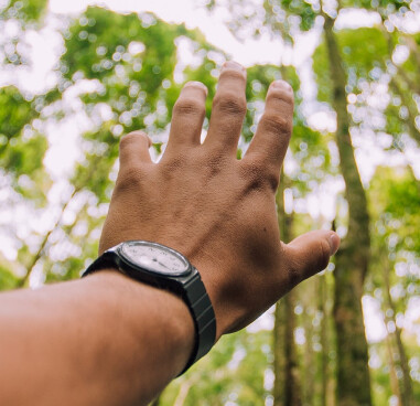 hand, trees, reaching