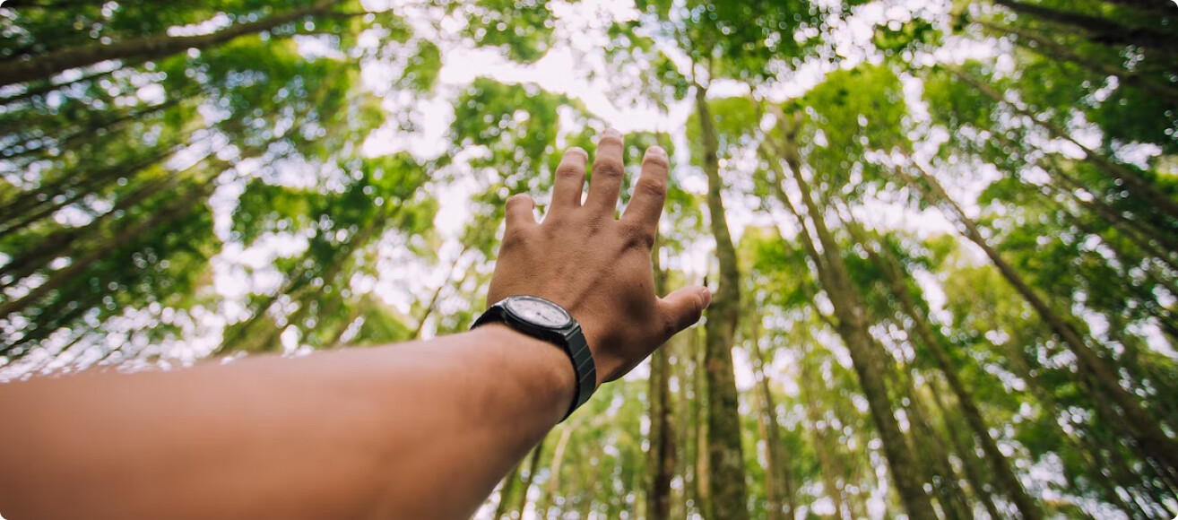 hand, reaching to trees