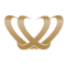 perth-cardio-logo-2